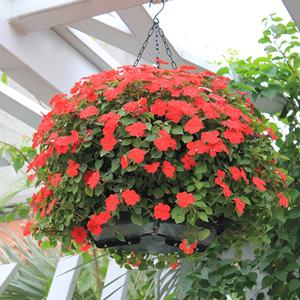 Pot de fleurs suspendu, pot de jardin suspendu, pot de plantes suspendu, panier de jardin suspendu en plastique, pot de fleurs suspendu en plastique de Chine - Product Image 5