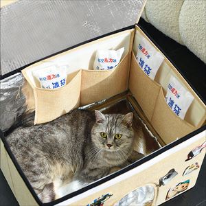Casa para Gatos Cómoda de Verano, Caja Resistente Plegable de Tela, Refrigerador para Mascotas, Iglú para Mascotas - Product Image 4