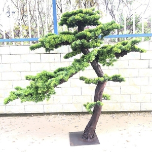Bonsái Artificial verde <span class=keywords><strong>grande</strong></span> de 1m-3m para interior/exterior, árbol de pino, macetas de oliva sintética Natural, decoración de jardín, fibra de vidrio en vivo, habitación del hogar - Product Image 5