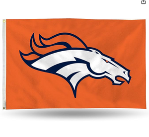 Drapeau extérieur durable 3x5 des <span class=keywords><strong>Detroit</strong></span> Lions avec œillets, bannière de drapeau robuste pour jardin extérieur - Product Image 4