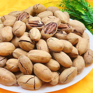 Source Factory Hard Salty Roasted in Shell Pecan Nuts OEM Custom Gift Box B2B Wholesale - Product Image 5