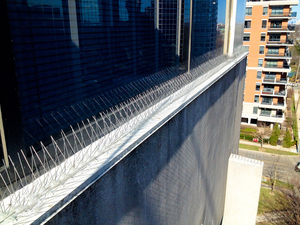 Saxons pre-lắp ráp có thể điều chỉnh dòng điện chim gai CuộN rào cản trong suốt dính chống chim Stopper kiểm soát dịch hại - Product Image 4