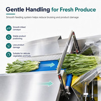 Volledig automatische verpakkingsmachine voor verse groenten, sla en vlees in trays