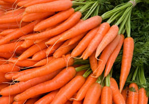 fresh carrot from vietnam - Product Image 5