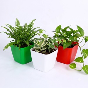 Pot de fleurs carré en plastique en gros 13,5x13,5x12cm en PP, design conique, multicolore, pour la décoration de la maison, du jardin et de la pépinière - Product Image 1