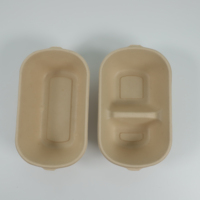 Boîte à lunch jetable en bagasse 100 % biodégradable pour la rentrée scolaire