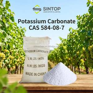 <span class=keywords><strong>Carbonate</strong></span> <span class=keywords><strong>de</strong></span> <span class=keywords><strong>potassium</strong></span> K2CO3 99% à bon prix, qualité industrielle, pour l'agriculture, l'alimentation et l'alimentation animale, poudre, CAS 584-08-7 - Product Image 1