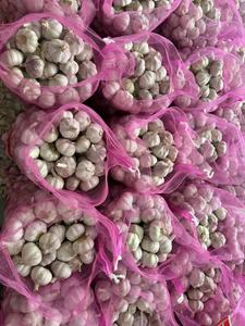 Ingrédient alimentaire de renommée mondiale sans pesticide et de qualité d'exportation pour l'<span class=keywords><strong>ail</strong></span> frais de nouvelle culture de qualité supérieure - Product Image 6