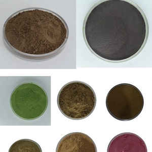 Capsules de baies de goji biologiques lyophilisées OEM, poudre de baies de goji, extrait de baies de goji - Product Image 5