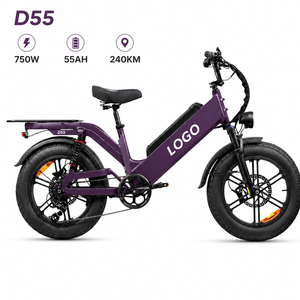 Bicicleta Eléctrica de Carga D55, 48V55Ah, E-MTB de Alta Velocidad, 750W, Neumático Grueso de 20 Pulgadas, 28 mph, OEM, Bicicleta de Reparto Todoterreno - Product Image 1
