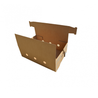 Cartons à fermeture sans ruban adhésif avec trous d'aération et poignées robustes pour le transport de viande fraîche et de volaille