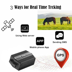 Localisateur <span class=keywords><strong>GPS</strong></span> anti-perte étanche Android iOS Mini <span class=keywords><strong>GPS</strong></span> GSM pour animaux de compagnie et clés - Product Image 5