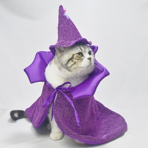 Magnifique costume d'Halloween pour animaux de compagnie, cape et chapeau violets scintillants pour chats, vêtements décoratifs pour animaux. - Product Image 1
