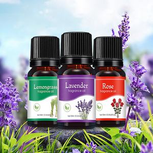 OEM-difusor de aceite esencial para aromaterapia, <span class=keywords><strong>humidificador</strong></span> de hierbas naturales de sándalo, menta, <span class=keywords><strong>lavanda</strong></span>, rosa, máquina dedicada - Product Image 1