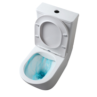 Ensemble WC deux pièces à double chasse, à poser au sol, en céramique, économie d'eau, siphon en P, pour usage hôtelier