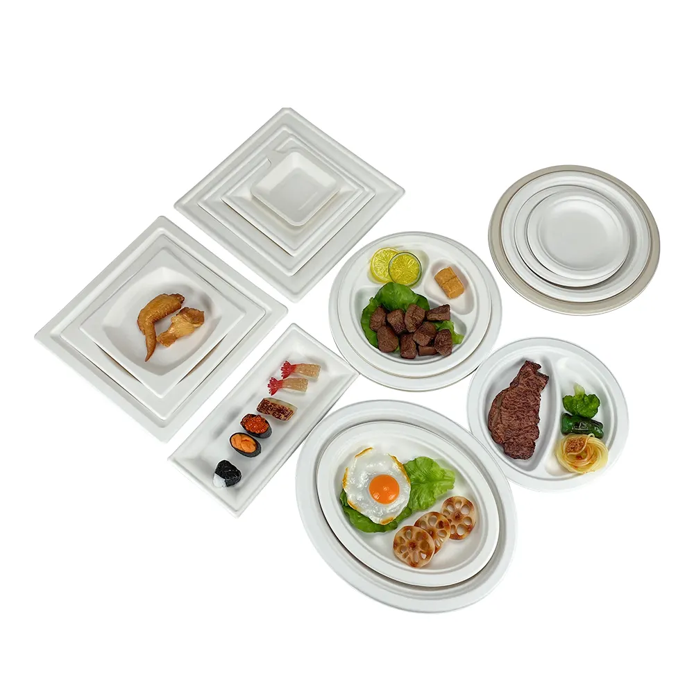 100% Compostable Heavy-Duty Lunch Sugarcane Paper Plates Leakproof Sugar Cane 3 Compartment Bagasse Plates