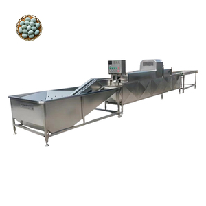 Egg Cleaning Machine Egg Grading Coding Machine 15000 Eggs Per Hour Egg Processing Line - Product Image 3