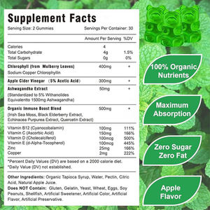 Suplementos de gomitas de clorofila OEM con musgo marino, baya de saúco Acv, zinc y vitamina C,D,E, B12 para soporte inmunológico y de digestión - Product Image 3