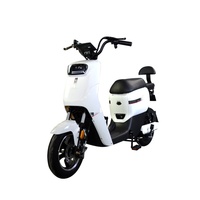 Bicicleta eléctrica, Scooter eléctrico para adultos, Motocicleta eléctrica clásica