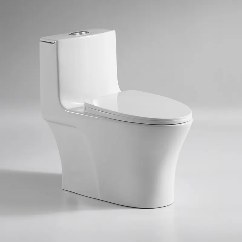 Inodoro Ceramic Sanitary Ware Bathroom floor mounted One Piece Toilet 300mm Roughing In wc water closet Elongated toilet bowl