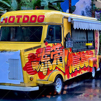 Camion de restauration rapide électrique avec cuisine complète, pizza, hamburgers, glaces et café - Châssis en acier inoxydable, garantie 1 an