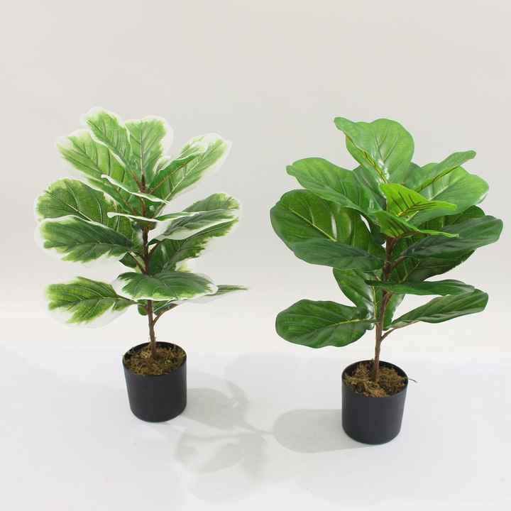 High Quality Artificial Potted Plants Large Leaves Ficus Pandurata