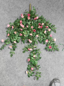 Vigne de roses artificielle And De Roses Arizona Wild Seven Pergolas Thornless Desert Eden Creeping That Training Decoration - Product Image 2