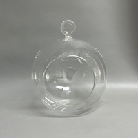 Plante suspendue ronde Terrarium décoration maison et mariage Terrarium plantes botaniques Vase Globe Terrarium décoration maison verre bombé