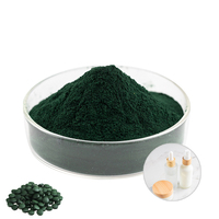 Fournir de la poudre de spiruline verte pure de qualité alimentaire de haute qualité
