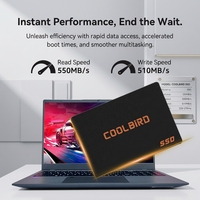 Disque SSD interne de 256 Go, disque dur SATA de 2,5 pouces pour ordinateur portable PC avec garantie de 3 ans
