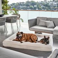 Fabrikneues rechteckiges ortho pä disches Barney-Hunde bett mit modernem wasserdichtem Liner Memory Foam Abnehmbarer Bezug im Karton verpackt