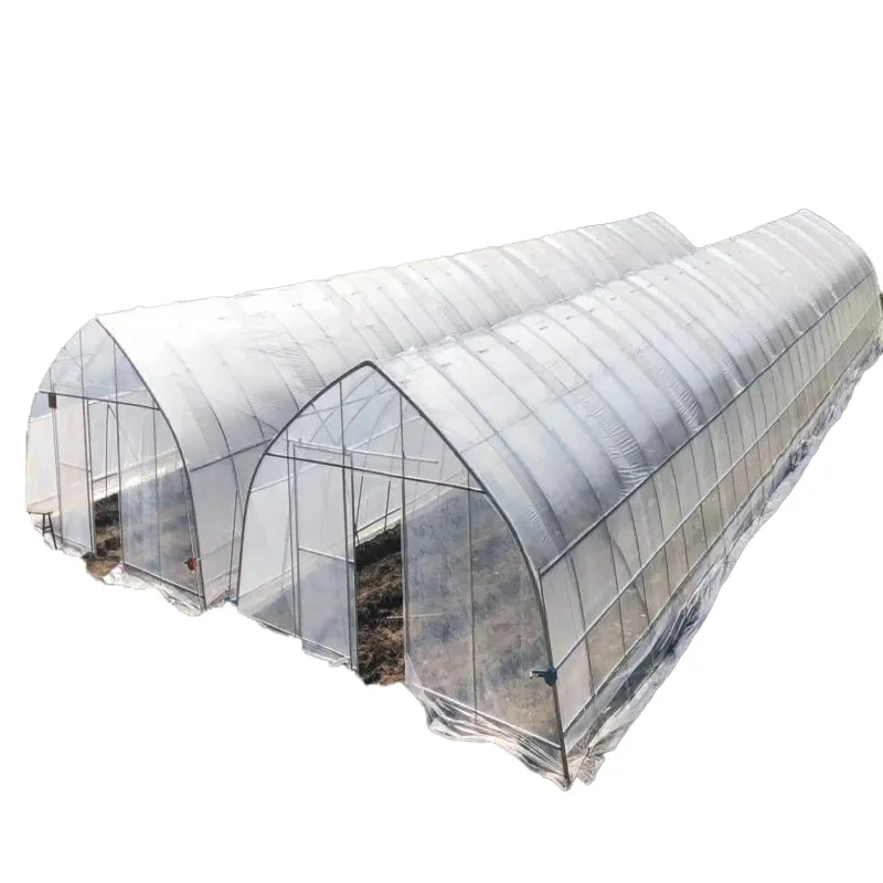 8*30m 저렴한 온실 단일 스팬 터널 온실 농업에 사용 토마토 딸기
