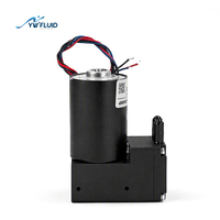 Pompe à diaphragme micro miniature à moteur sans balais YW34-BLDC de haute qualité, à tête unique, 12V 24V