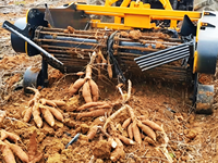 Cosechadora de Yuca Montada en Tractor con Cadena Vibratoria, Baja Tasa de Rotura, Ancho de Trabajo Personalizable, Máquina Excavadora de Yuca