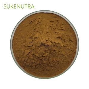 차가버섯 추출물 분말 다당류 30% 항산화 면역 및 소화 지원-초점 에너지 선명도 웰빙 - Product Image 1