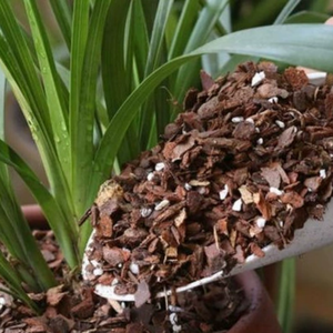 Paillis organique coloré pour l'aménagement paysager, le jardinage et les usages décoratifs, adapté pour la protection des arbres et le comblement des fosses. - Product Image 4