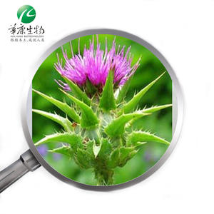 O <span class=keywords><strong>ISO</strong></span> aprovou o pó natural Silymarin 80% do extrato do cardo do leite - Product Image 3