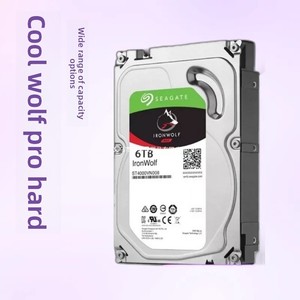 Disques durs internes SATA Cool Wolf PRO pour ordinateur de bureau 4T 4TB 8TB 10T 12T 14T 16T 18T 20T 22T 7200 RPM 128 Mo de cache - Product Image 5