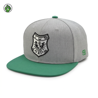 Gorra Snapback Personalizada de 6 Paneles de Algodón de Alta Calidad con Logotipo Bordado en 3D, para Viajes, Moda, Deportes Casuales al Aire Libre