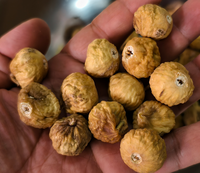 Fabrieksprijs Natuurlijke Gedroogde Vijg Zoete Snack Hele Droge Vijgenfruit