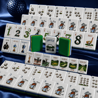 Ensemble de tuiles de mahjong de luxe, thème casino et divertissement, design acrylique, portable, résistant à l'eau, pour voyage et utilisation en extérieur, fabrication industrielle