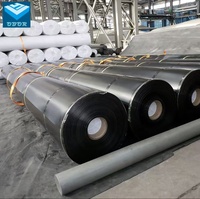 Vente en gros directe d'usine de géomembrane en HDPE pour l'aquaculture et l'élevage de crevettes