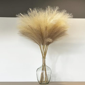 Herbe de la Pampa Artificielle Effet Naturel, Couleur Café Clair, Style Bohème Moelleux, pour Centre de Table de Mariage et Remise de Diplôme, Arrangement DIY - Product Image 5