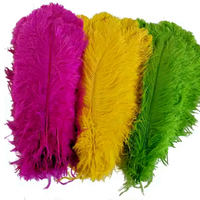 Gold DIY Craft 70-75cm groß groß weiß schwarz Herzstück Feder natürliche Straußen federn für Home Carnival Hochzeits feier Dekor