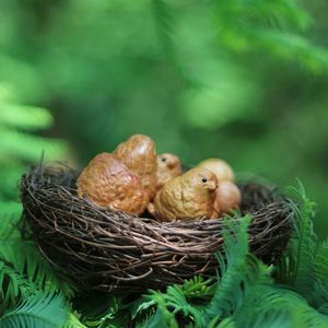 Handmade Wood Bird Nest With Carved Birds And Eggs Natural Shape Home Decoration Zhejiang Craft - Product Image 2