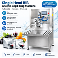 Machine d'emballage automatique de haute précision BIB pour l'industrie des boissons, remplissage de vin, jus, eau, alcool en bouteilles en plastique