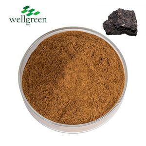 Wellgreen, оптовая продажа, чистый органический порошок Гималайский силаджит, экстракт Shilajit частной торговой марки - Product Image 1