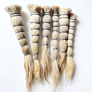 Poils de buffle classiques 100% naturels polis, durée de conservation de 3 ans, stockage congelé, matériau pour la fabrication de brosses, Uttar Pradesh Falak - Product Image 1