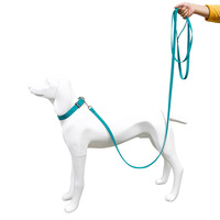 Correa para Perro de Alta Calidad 2024, Diseño Occidental de Lujo, Recubierta de PVC, Personalizada, con Patrón Sólido, Larga y Elegante, para Entrenamiento