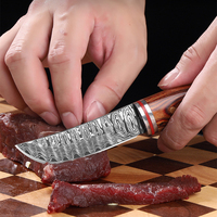 Couteau tactique de chasse à lame fixe en acier inoxydable avec étui en cuir, couteau de poche utilitaire de 3 pouces pour la viande et les fruits